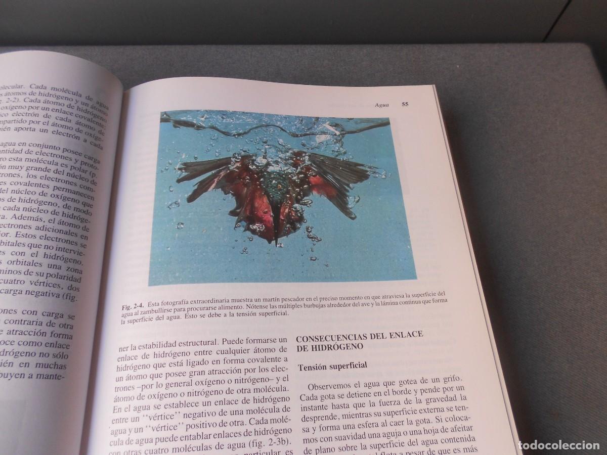 Libros de segunda mano: INVITACION A LA BIOLOGIA. - Foto 4
