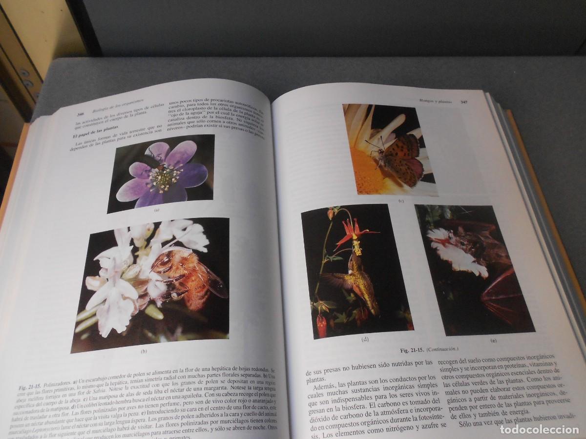 Libros de segunda mano: INVITACION A LA BIOLOGIA. - Foto 5
