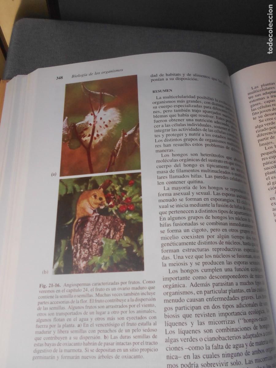 Libros de segunda mano: INVITACION A LA BIOLOGIA. - Foto 6