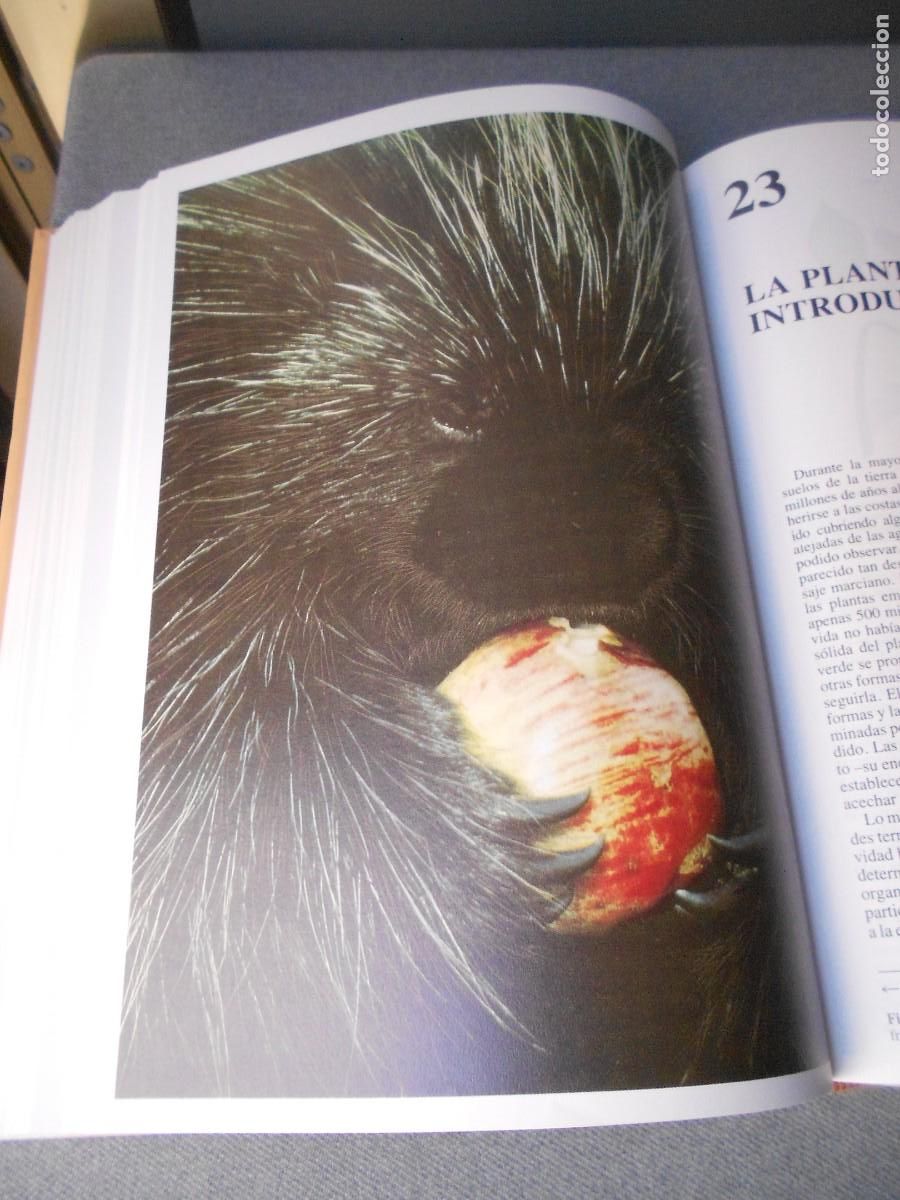 Libros de segunda mano: INVITACION A LA BIOLOGIA. - Foto 7