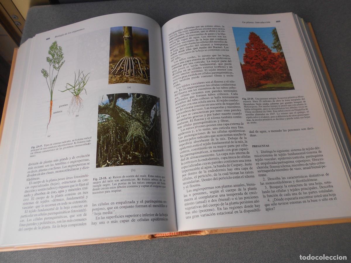 Libros de segunda mano: INVITACION A LA BIOLOGIA. - Foto 8