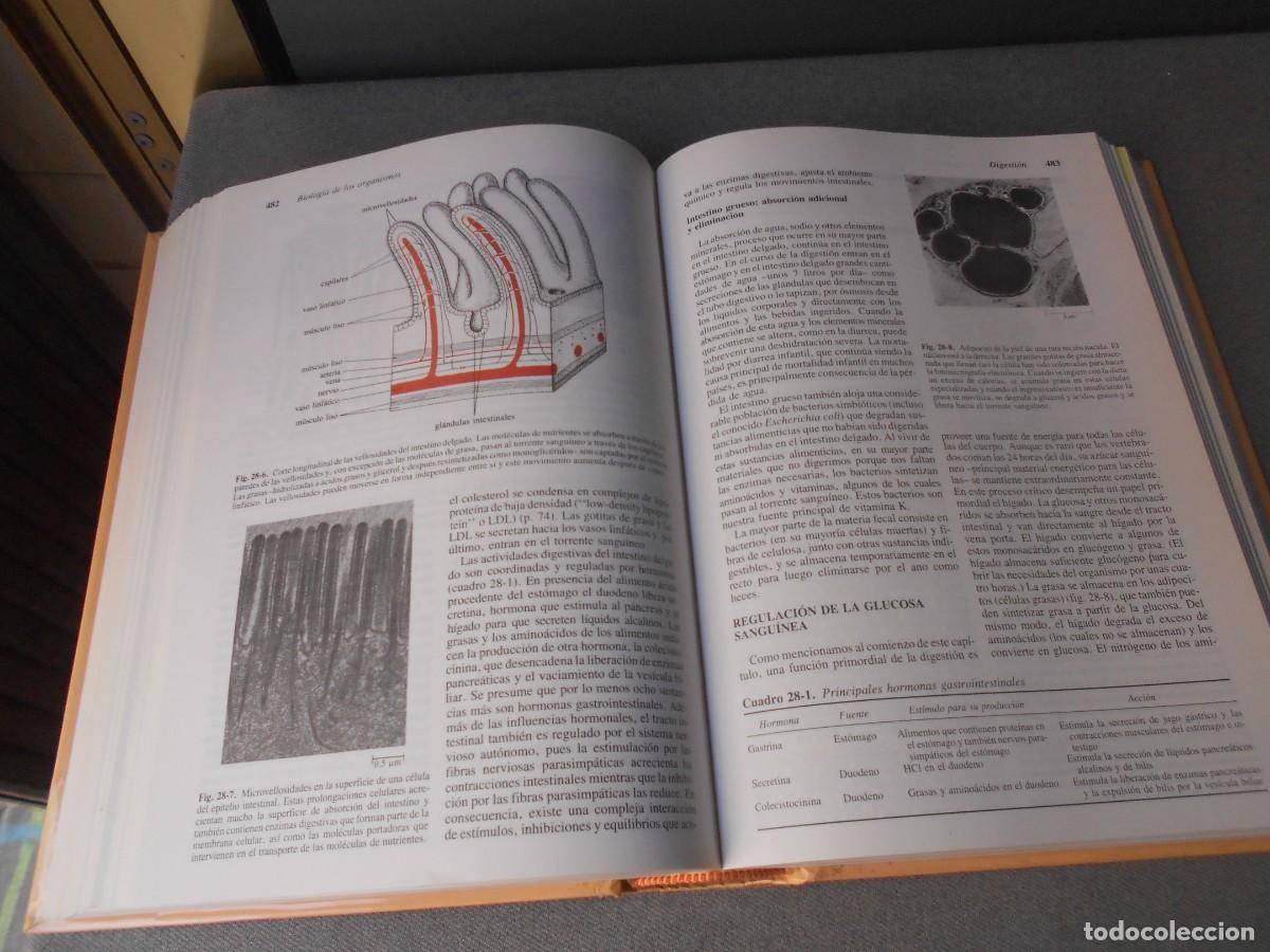 Libros de segunda mano: INVITACION A LA BIOLOGIA. - Foto 9