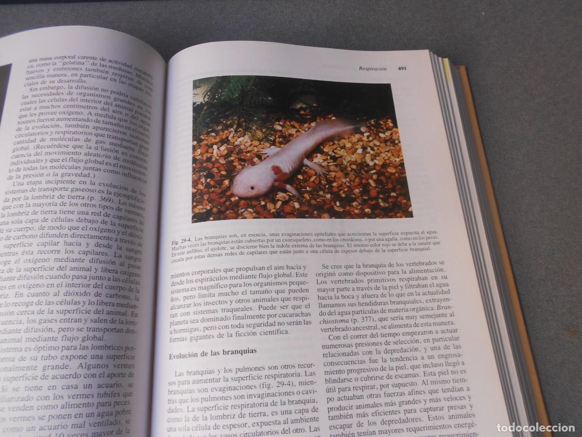 Libros de segunda mano: INVITACION A LA BIOLOGIA. - Foto 10