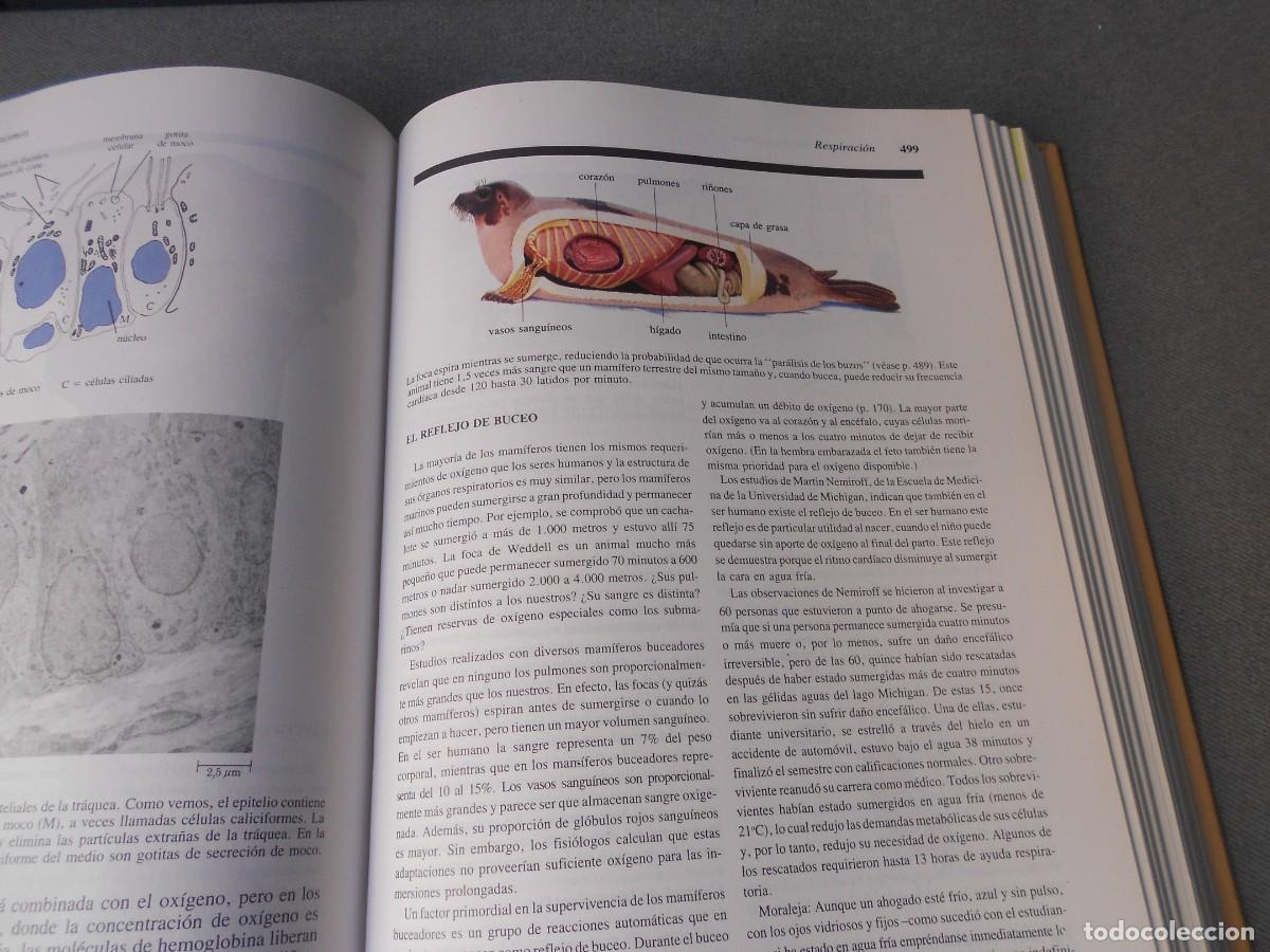 Libros de segunda mano: INVITACION A LA BIOLOGIA. - Foto 11