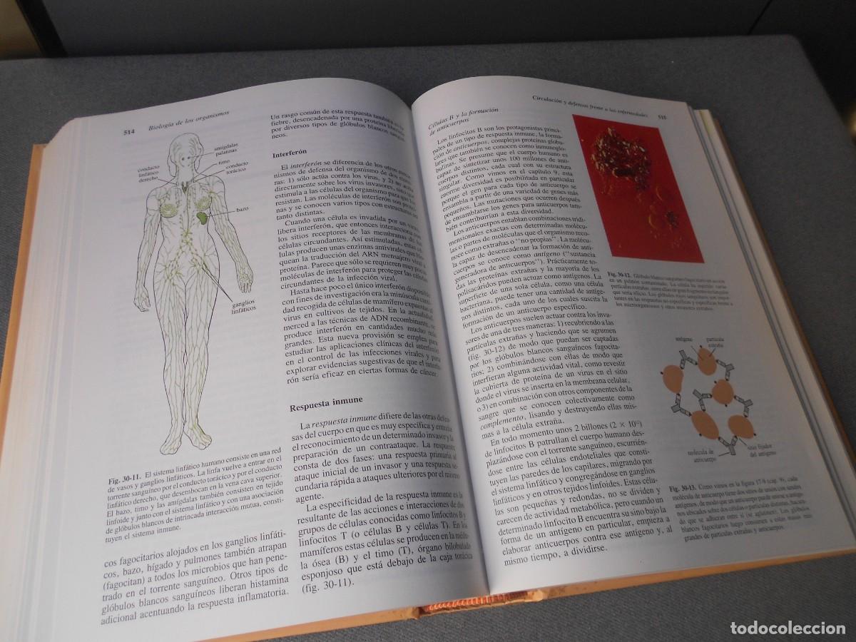 Libros de segunda mano: INVITACION A LA BIOLOGIA. - Foto 13