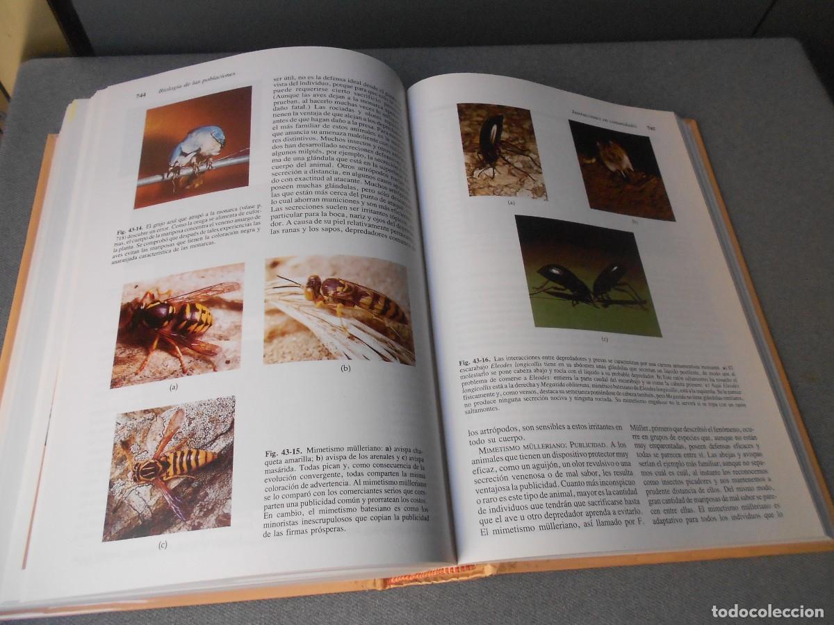 Libros de segunda mano: INVITACION A LA BIOLOGIA. - Foto 14