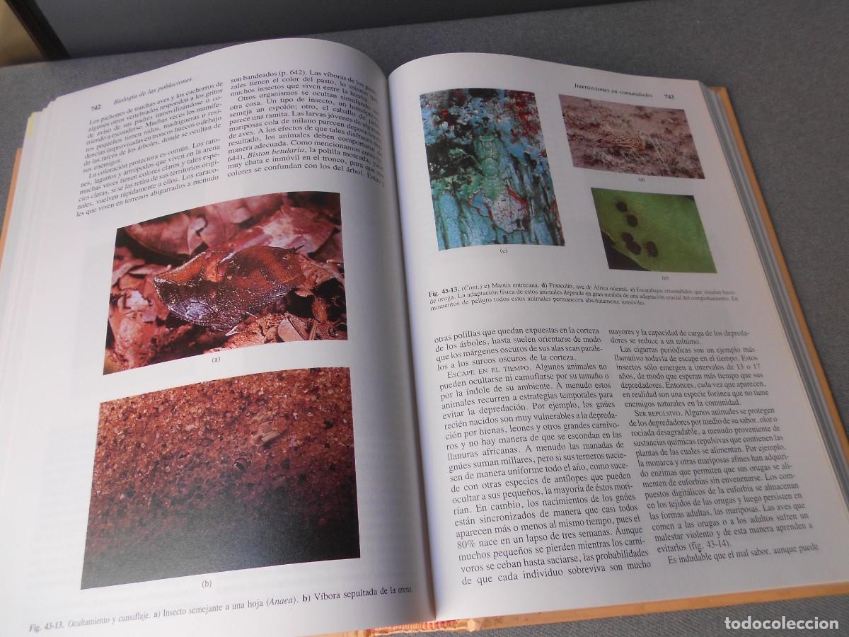 Libros de segunda mano: INVITACION A LA BIOLOGIA. - Foto 15