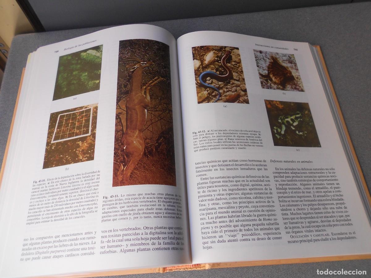 Libros de segunda mano: INVITACION A LA BIOLOGIA. - Foto 16