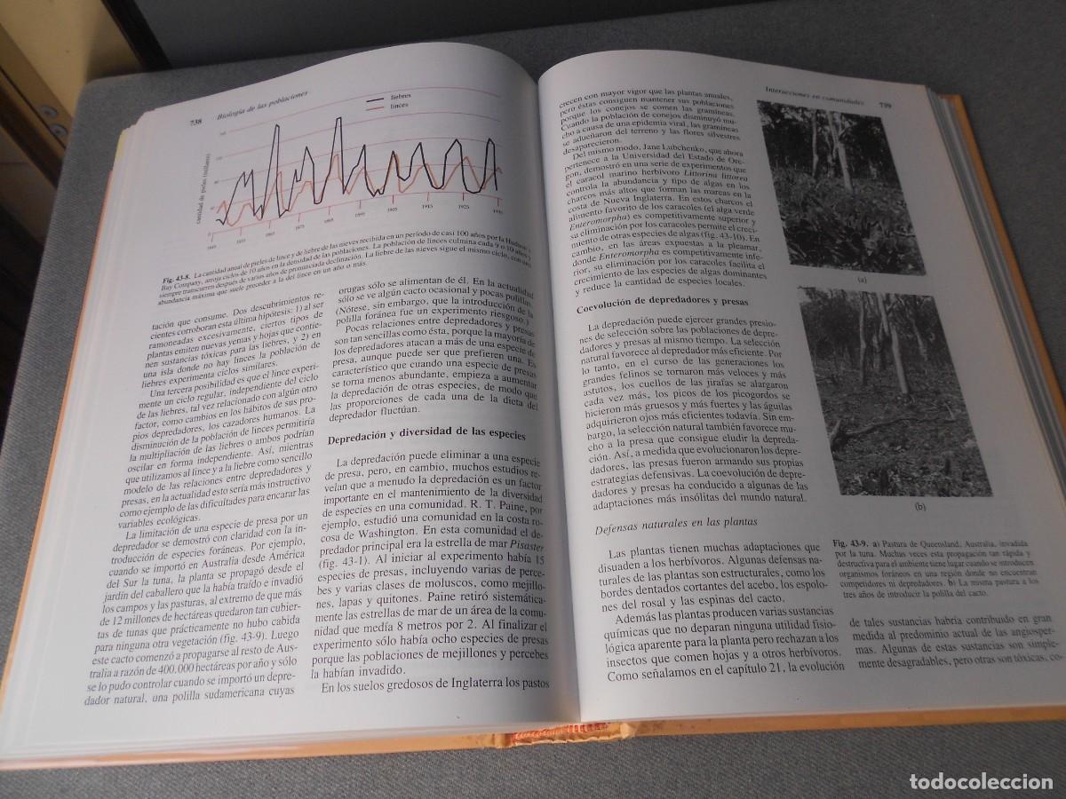 Libros de segunda mano: INVITACION A LA BIOLOGIA. - Foto 17