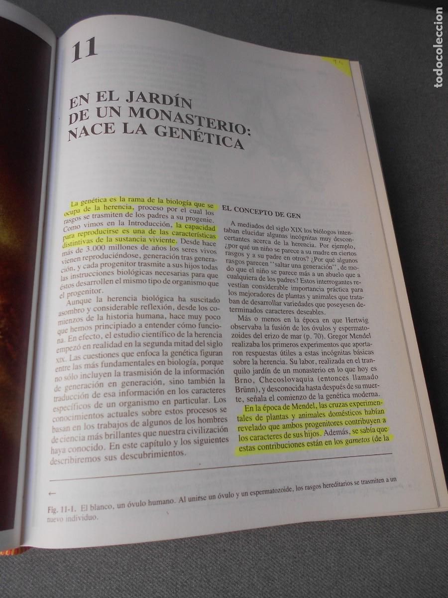 Libros de segunda mano: INVITACION A LA BIOLOGIA. - Foto 19