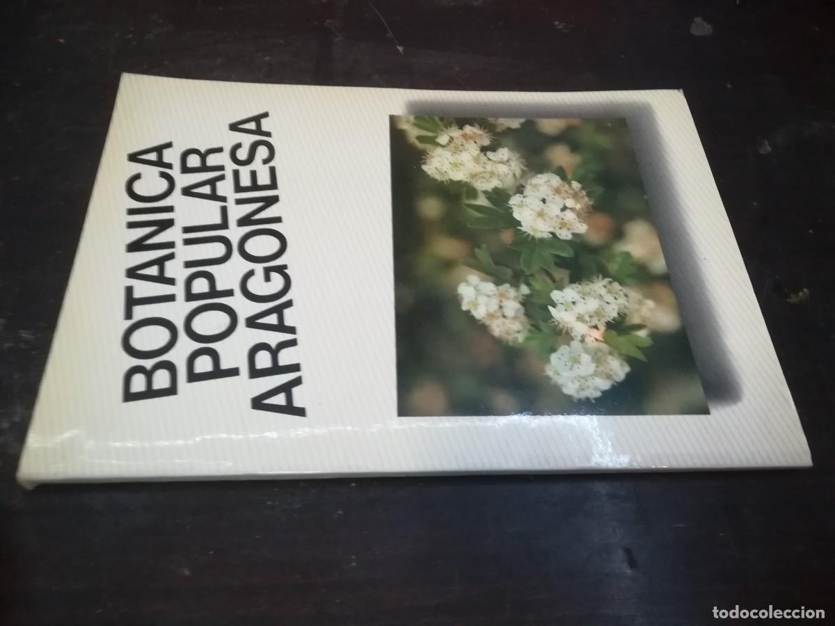Libros de segunda mano: BOTANICA POPULAR ARAGONESA / CONS316 / VVAA - Foto 1