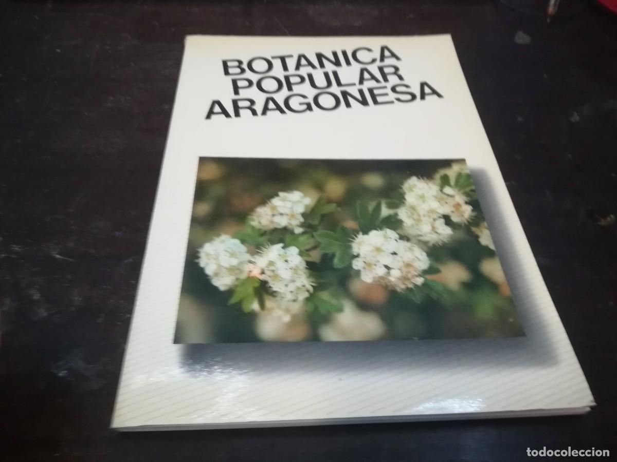 Libros de segunda mano: BOTANICA POPULAR ARAGONESA / CONS316 / VVAA - Foto 2