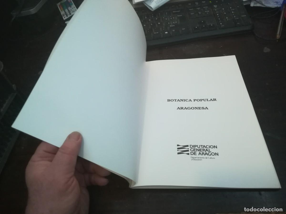 Libros de segunda mano: BOTANICA POPULAR ARAGONESA / CONS316 / VVAA - Foto 3