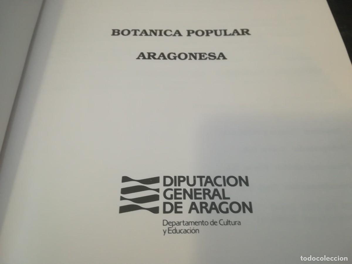 Libros de segunda mano: BOTANICA POPULAR ARAGONESA / CONS316 / VVAA - Foto 4