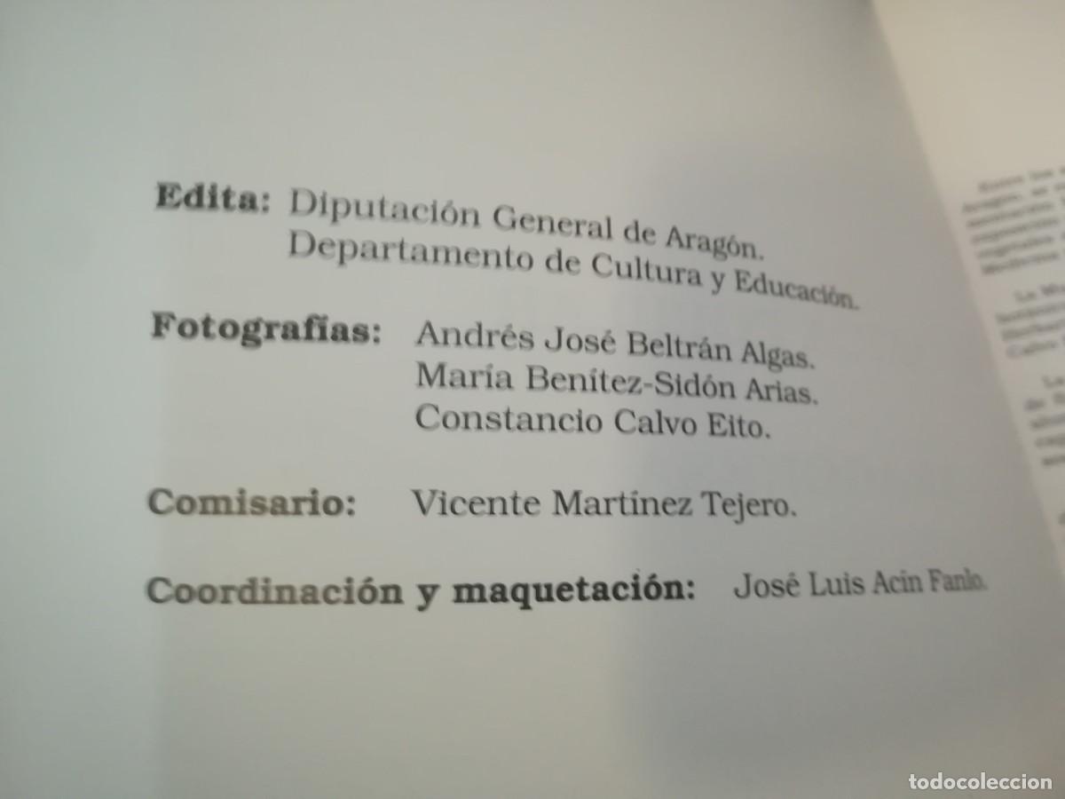 Libros de segunda mano: BOTANICA POPULAR ARAGONESA / CONS316 / VVAA - Foto 5
