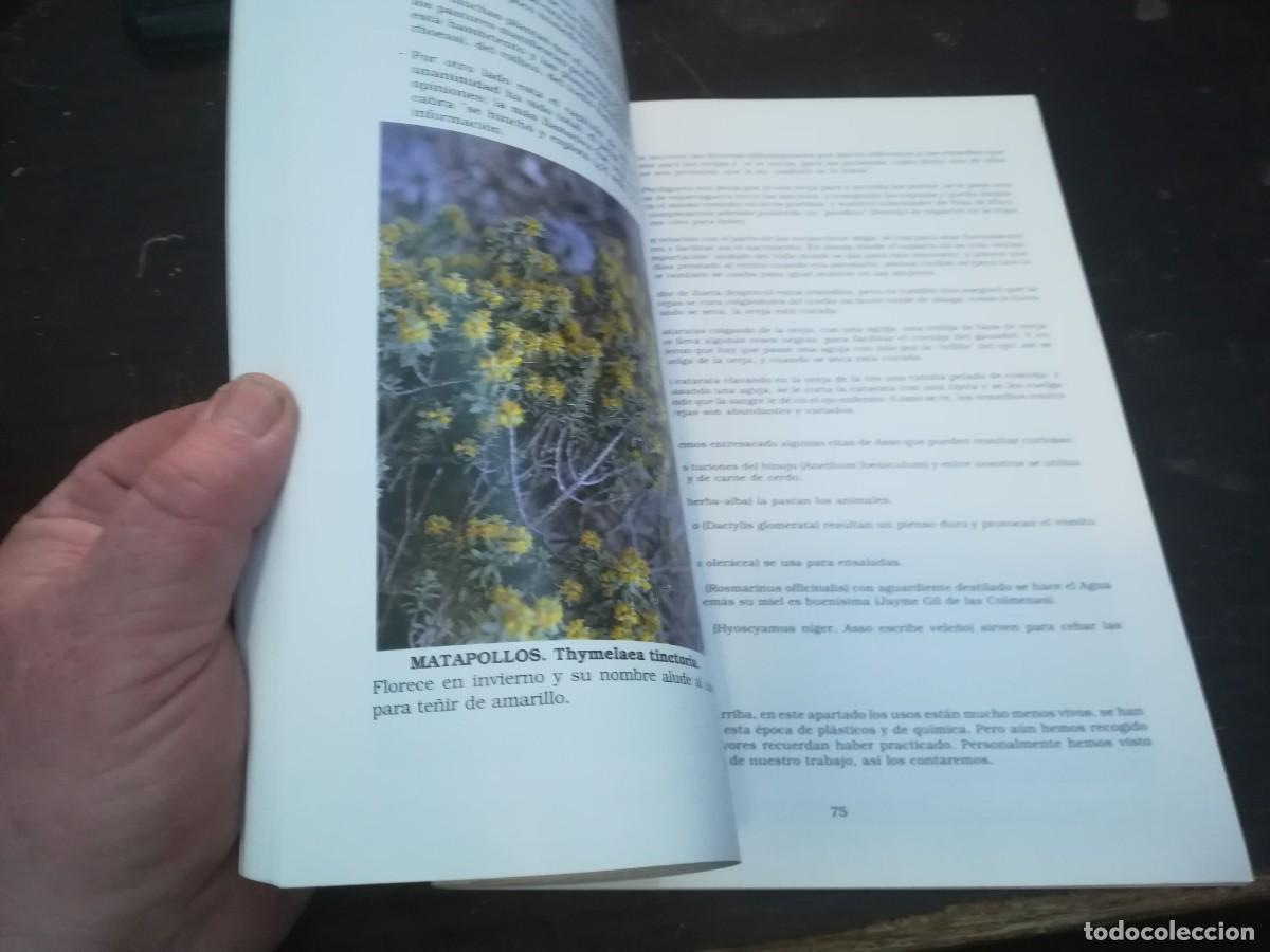 Libros de segunda mano: BOTANICA POPULAR ARAGONESA / CONS316 / VVAA - Foto 8