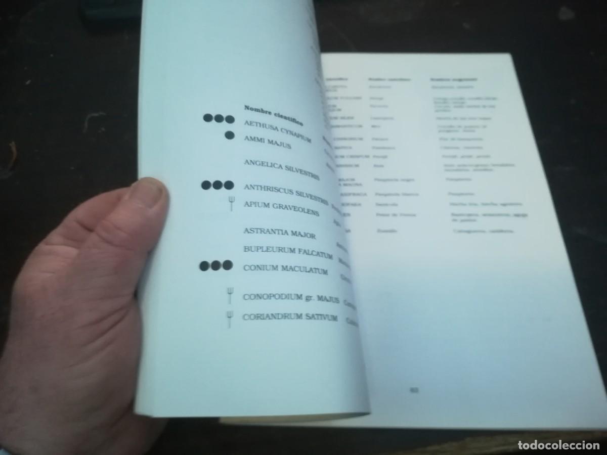 Libros de segunda mano: BOTANICA POPULAR ARAGONESA / CONS316 / VVAA - Foto 9