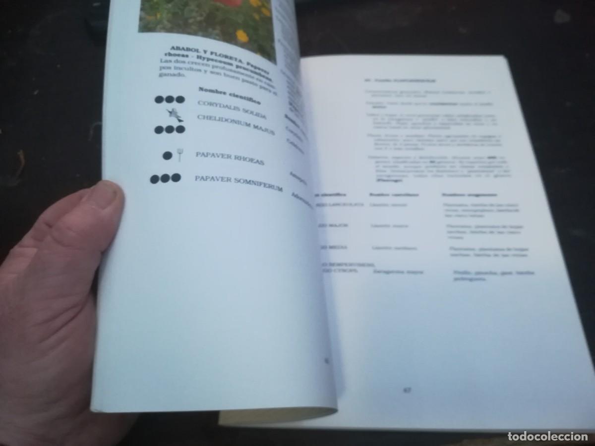 Libros de segunda mano: BOTANICA POPULAR ARAGONESA / CONS316 / VVAA - Foto 11