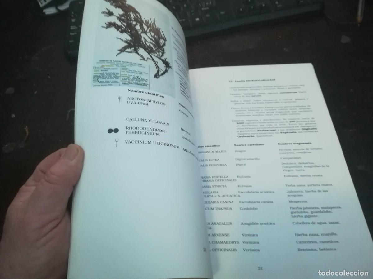 Libros de segunda mano: BOTANICA POPULAR ARAGONESA / CONS316 / VVAA - Foto 13