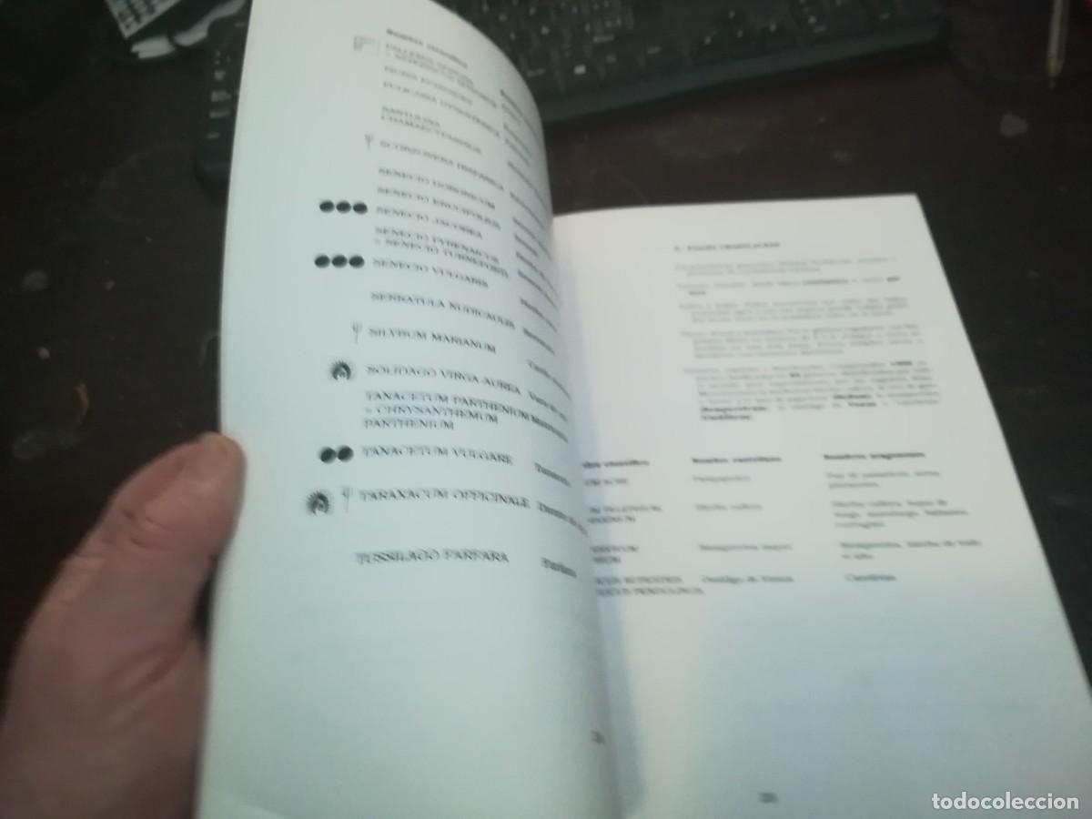 Libros de segunda mano: BOTANICA POPULAR ARAGONESA / CONS316 / VVAA - Foto 14