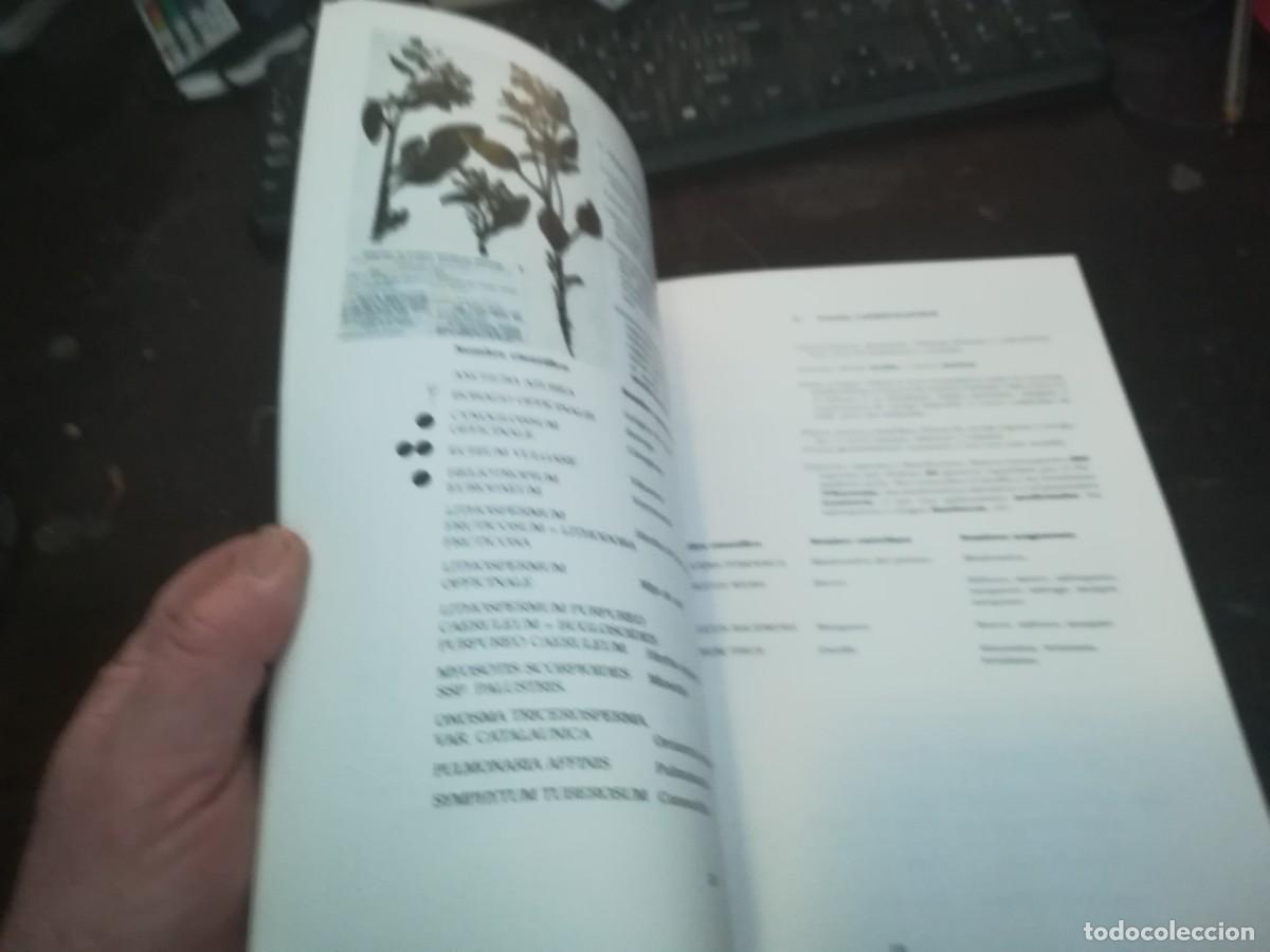Libros de segunda mano: BOTANICA POPULAR ARAGONESA / CONS316 / VVAA - Foto 15
