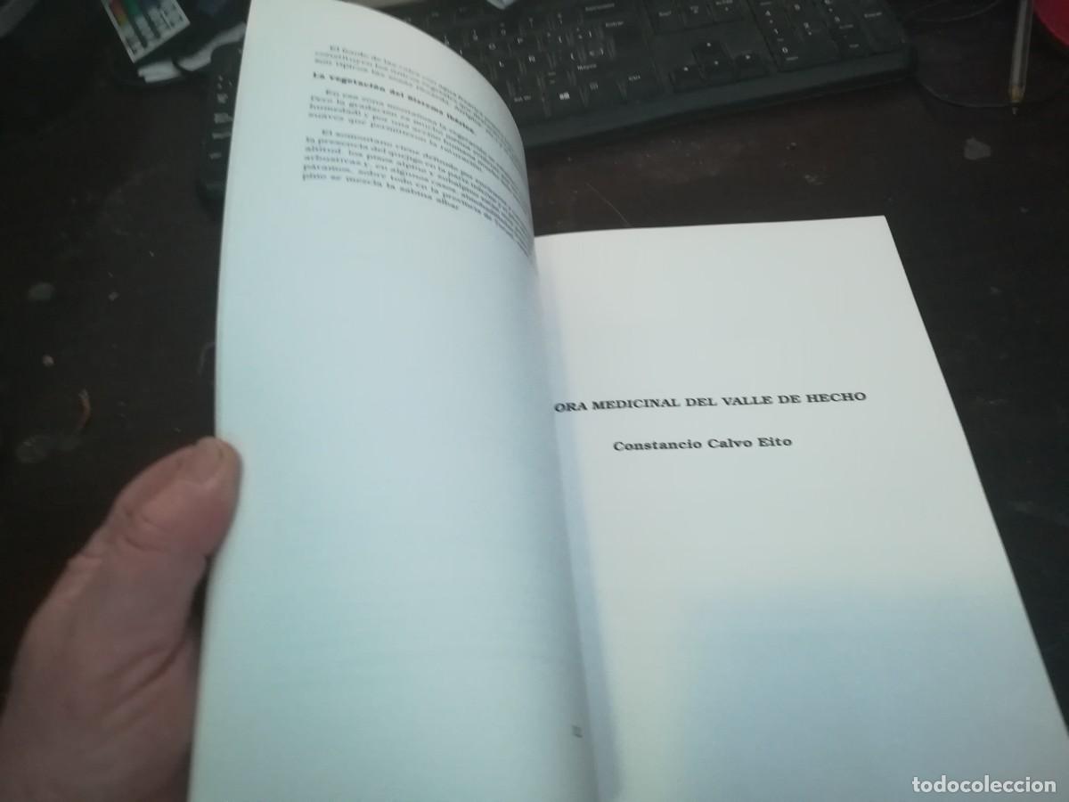 Libros de segunda mano: BOTANICA POPULAR ARAGONESA / CONS316 / VVAA - Foto 16