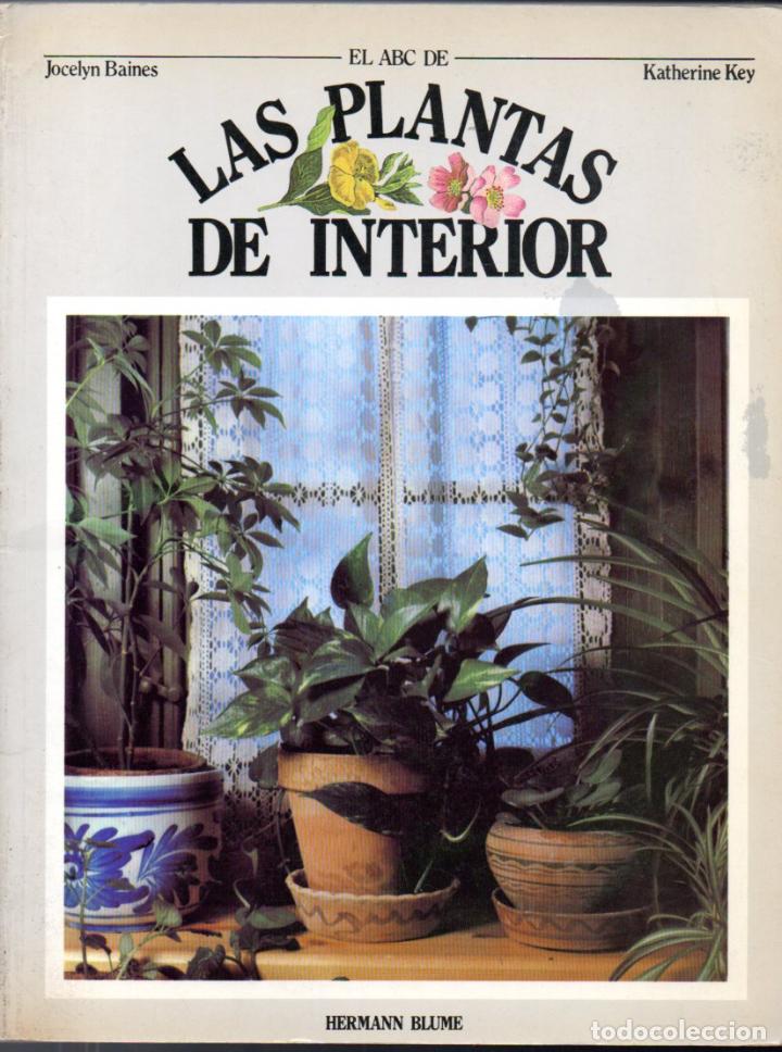 Libros de segunda mano: JOCELYN BAINES : EL ABC DE LAS PLANTAS DE INTERIOR (BLUME, 1983) - Foto 1