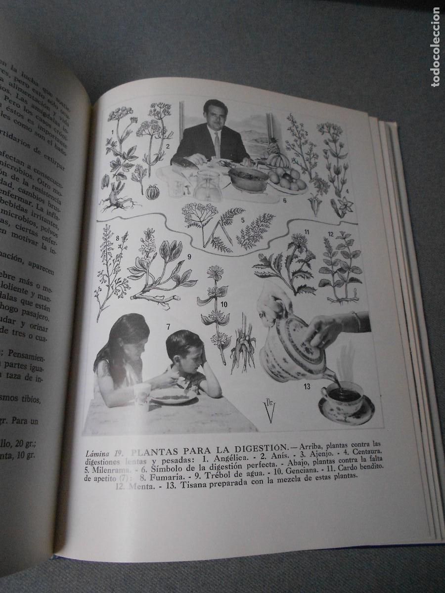 Libros de segunda mano: PLANTAS MEDICINALES - Foto 5