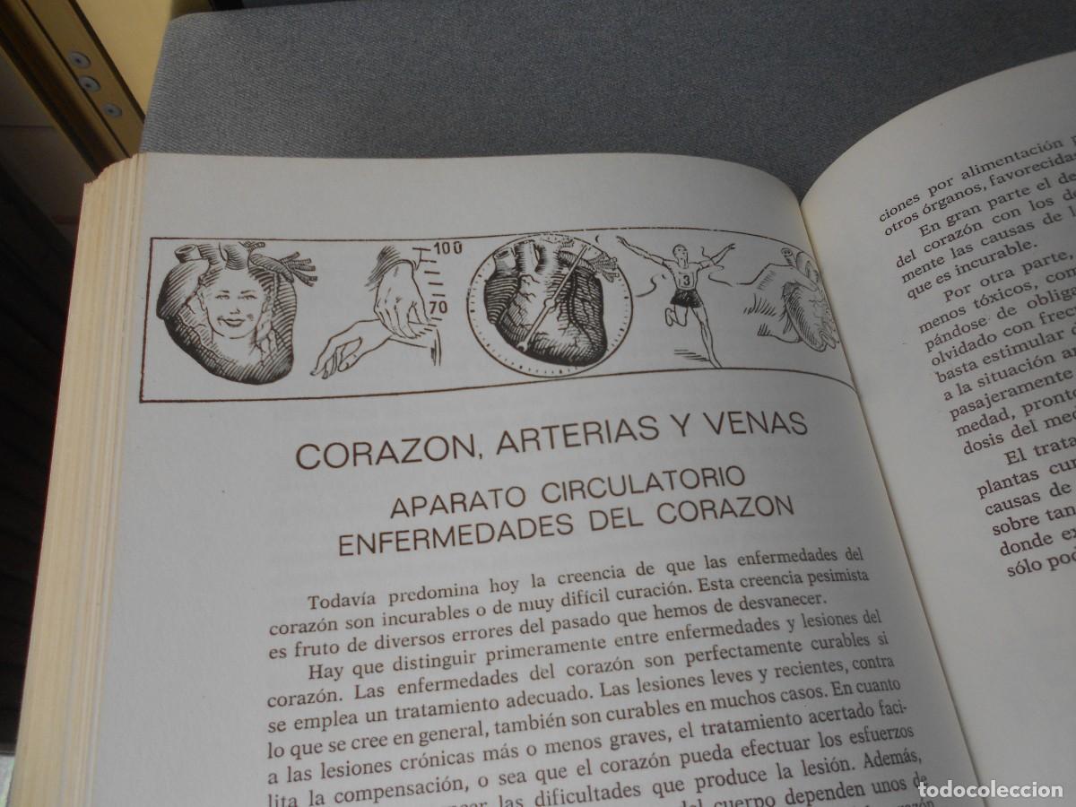 Libros de segunda mano: PLANTAS MEDICINALES - Foto 6