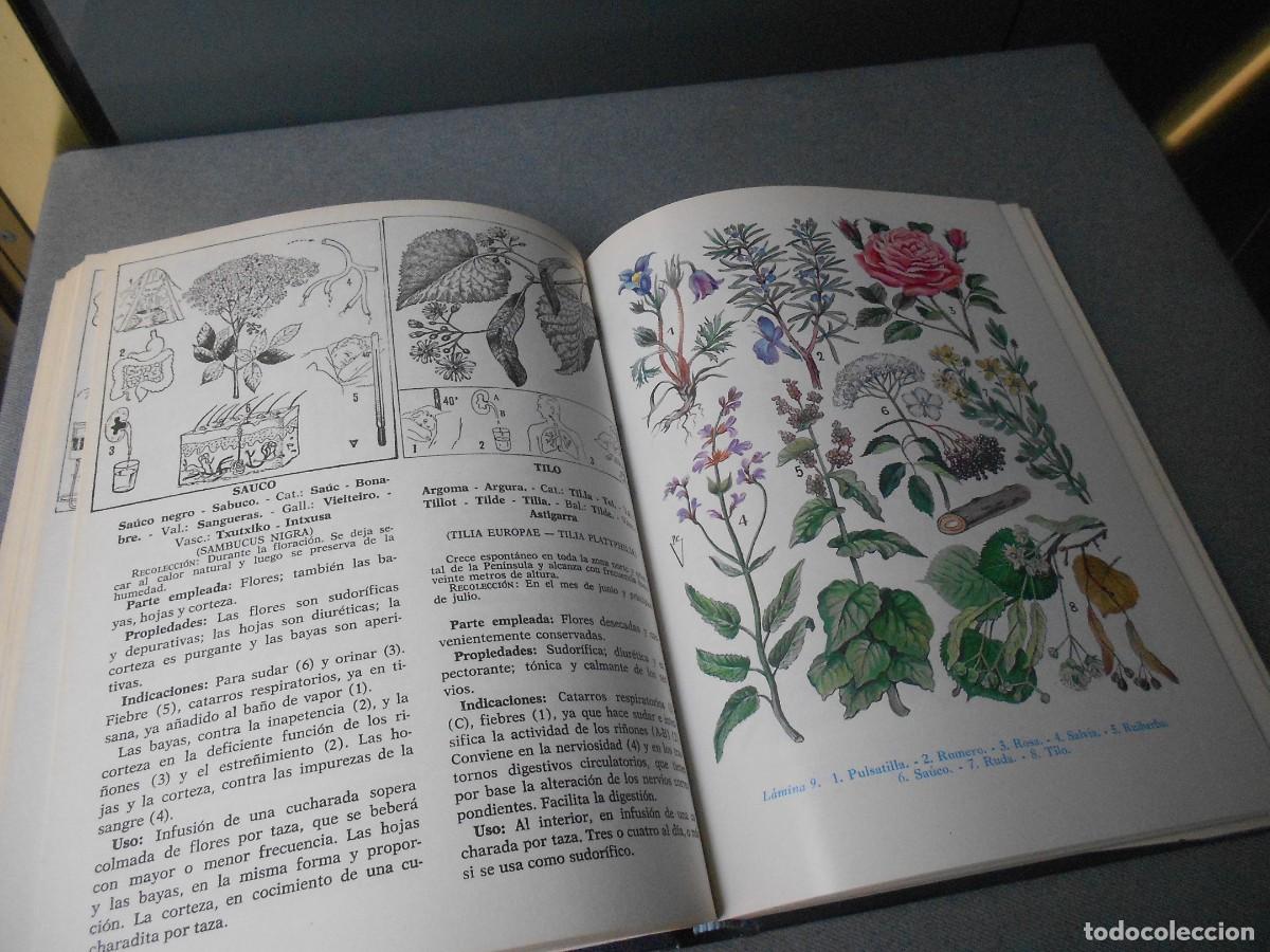 Libros de segunda mano: PLANTAS MEDICINALES - Foto 9