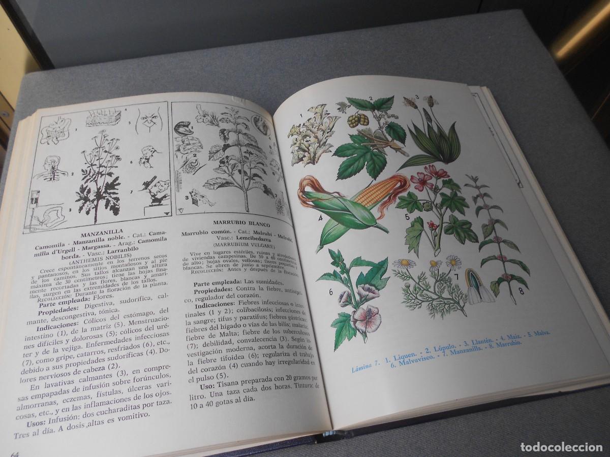 Libros de segunda mano: PLANTAS MEDICINALES - Foto 10