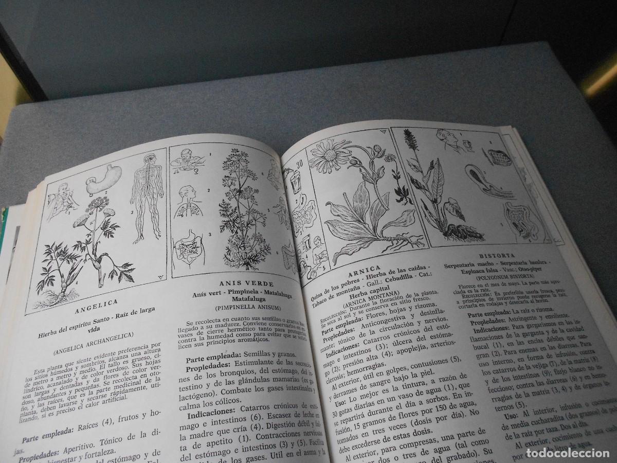 Libros de segunda mano: PLANTAS MEDICINALES - Foto 11