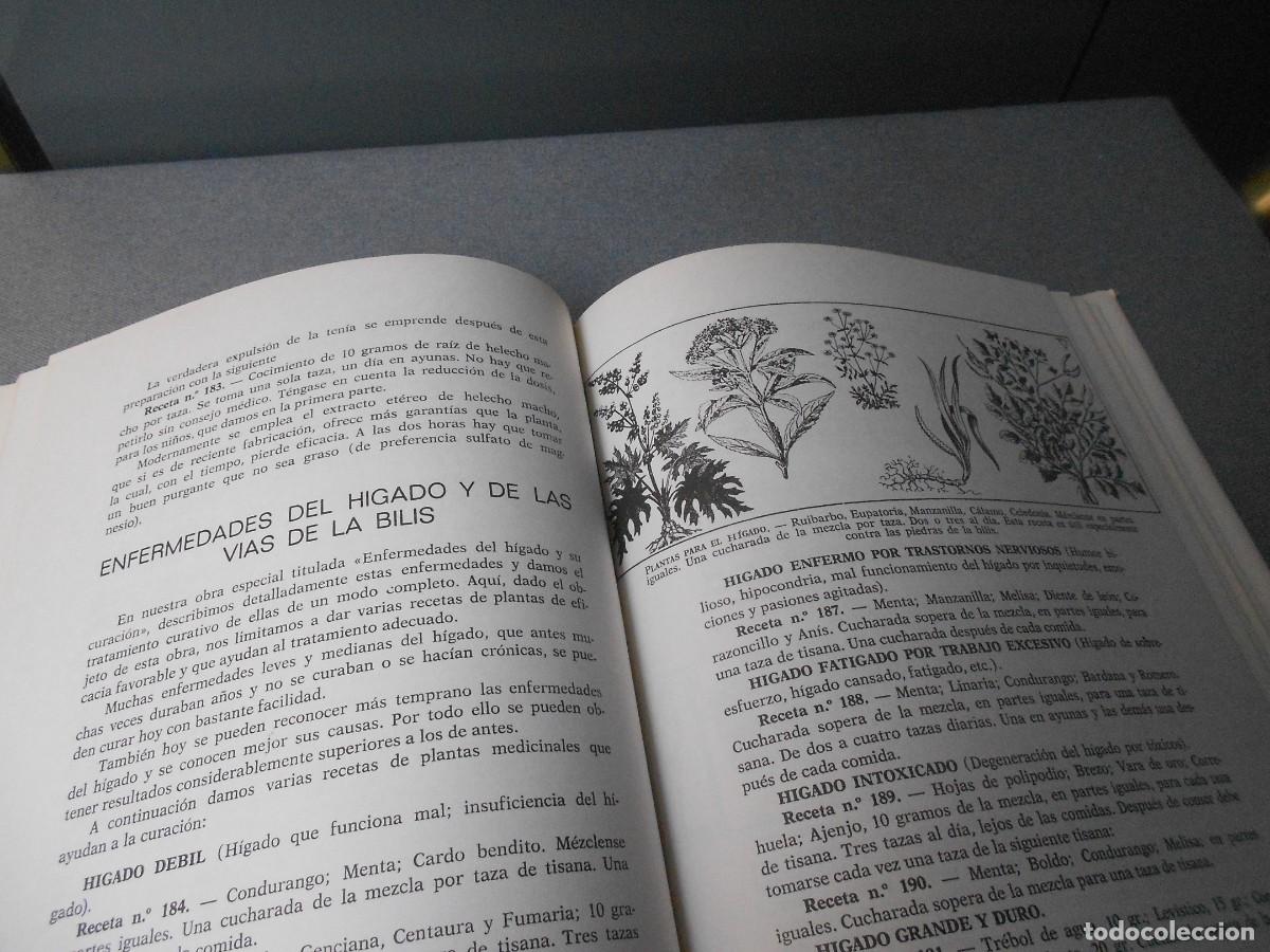 Libros de segunda mano: PLANTAS MEDICINALES - Foto 12