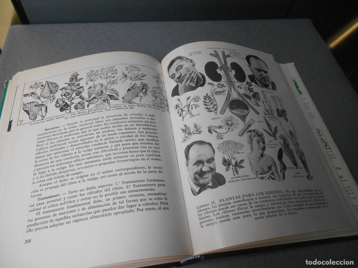 Libros de segunda mano: PLANTAS MEDICINALES - Foto 13