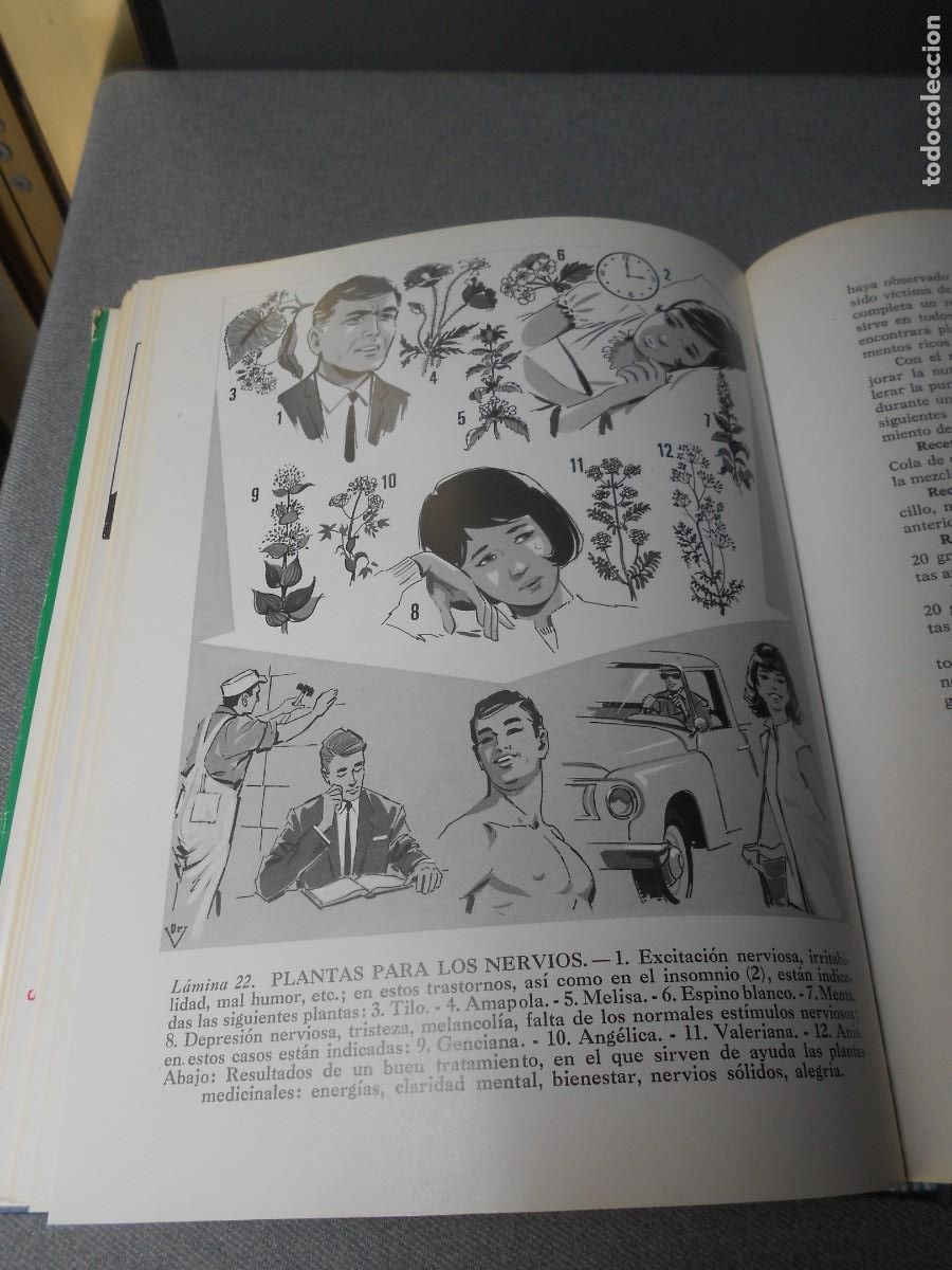 Libros de segunda mano: PLANTAS MEDICINALES - Foto 14