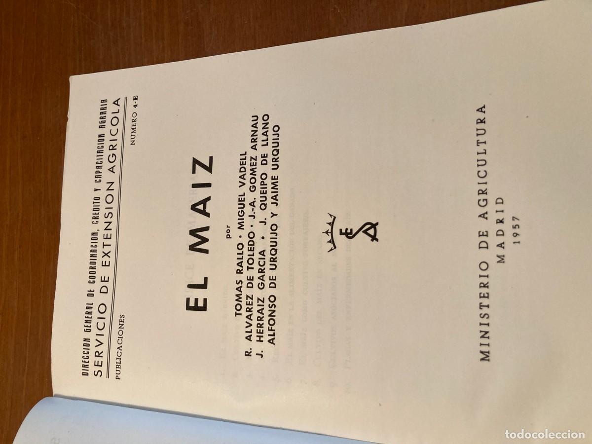 Libros de segunda mano: EL MAIZ, SERVCIO EXTENSION AGRARIA / CONS420 / 1957 / - Foto 2