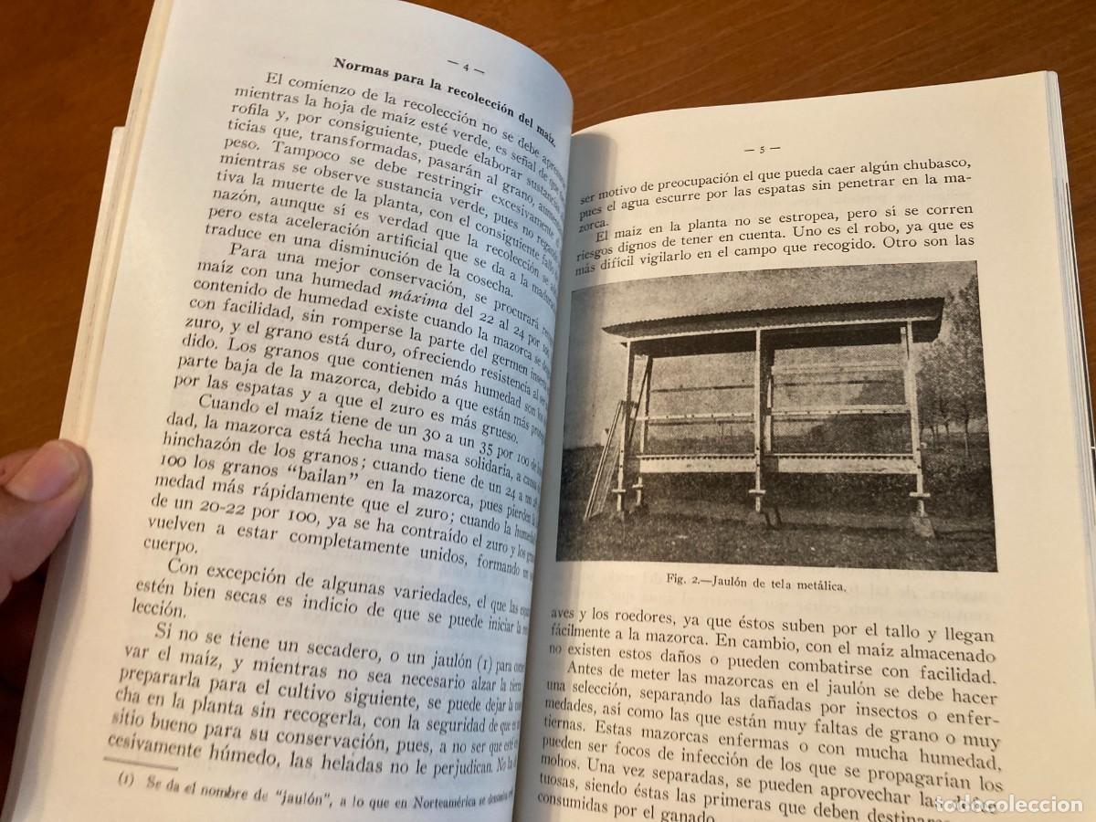 Libros de segunda mano: EL MAIZ, SERVCIO EXTENSION AGRARIA / CONS420 / 1957 / - Foto 4