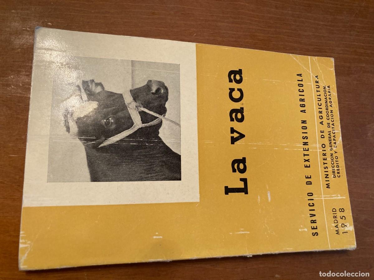 Libros de segunda mano: LA VACA, SERVCIO EXTENSION AGRARIA / CONS420 / 1958 - Foto 1