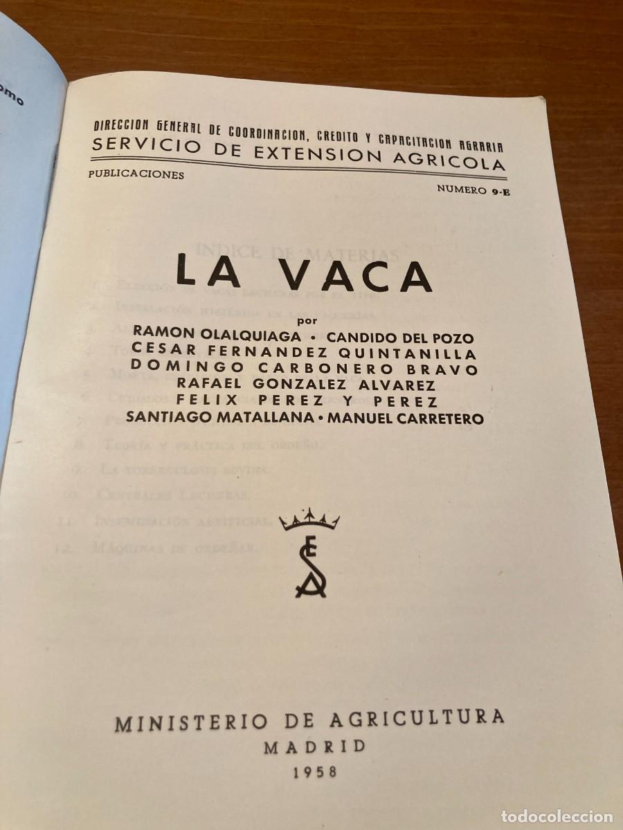 Libros de segunda mano: LA VACA, SERVCIO EXTENSION AGRARIA / CONS420 / 1958 - Foto 3