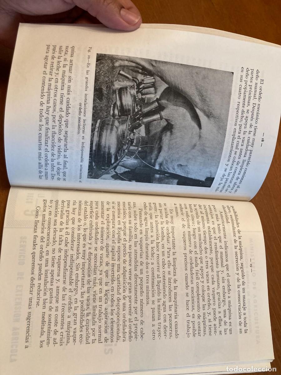 Libros de segunda mano: LA VACA, SERVCIO EXTENSION AGRARIA / CONS420 / 1958 - Foto 5