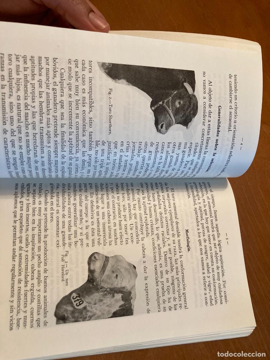 Libros de segunda mano: LA VACA, SERVCIO EXTENSION AGRARIA / CONS420 / 1958 - Foto 7