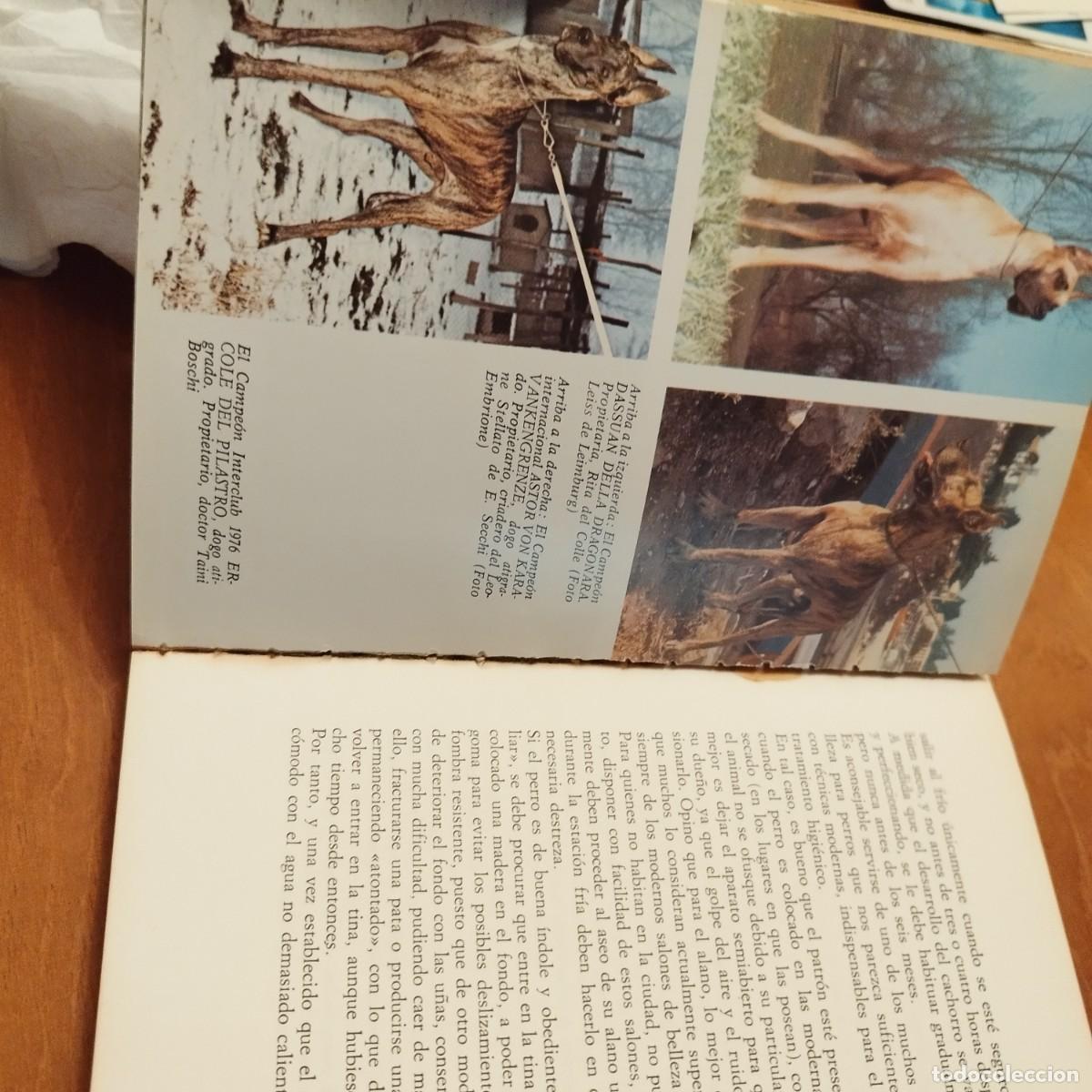 Libros de segunda mano: EL DOGO ALEMAN / FIORENZO FIORONE / CONS433 / DE VECCHI - Foto 4
