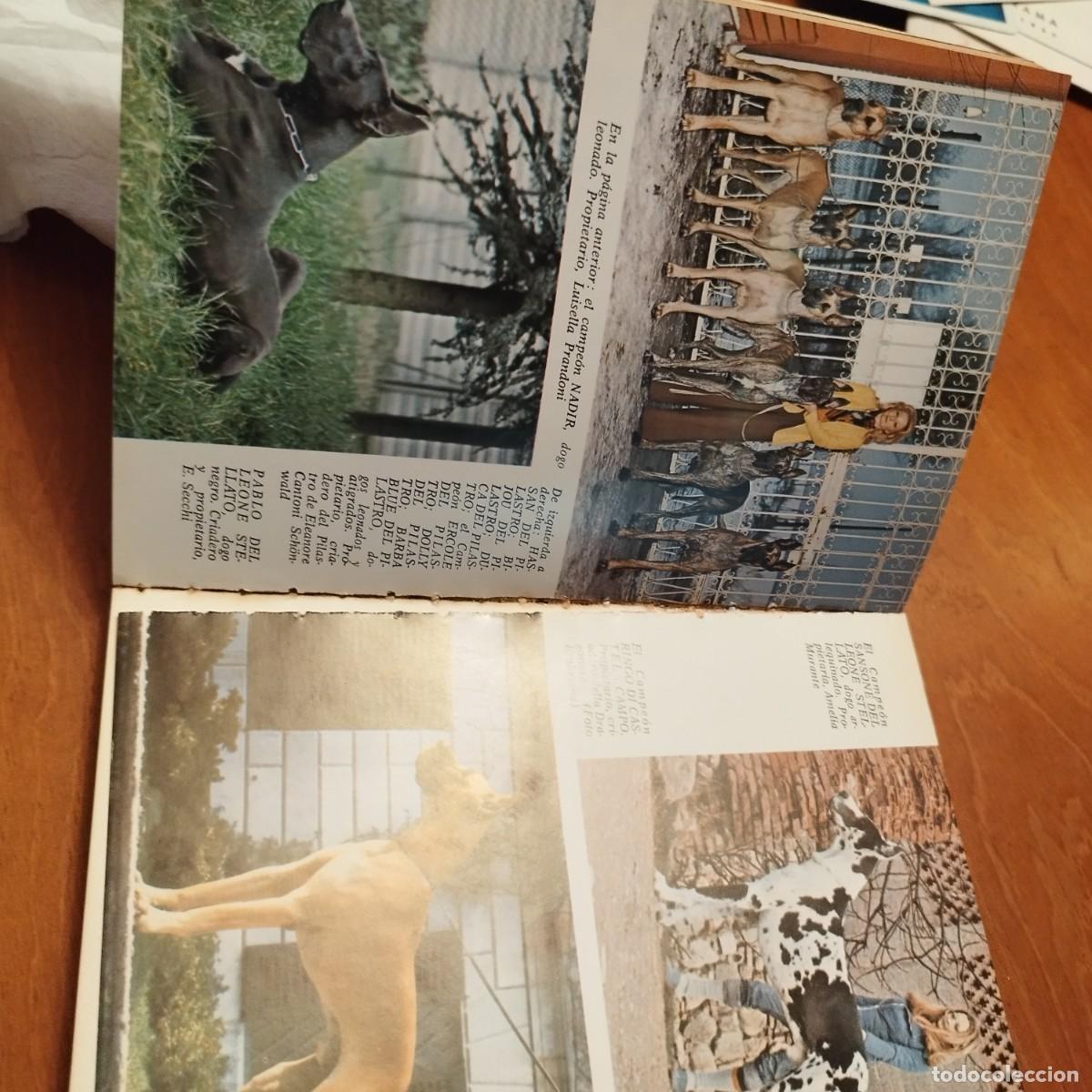 Libros de segunda mano: EL DOGO ALEMAN / FIORENZO FIORONE / CONS433 / DE VECCHI - Foto 5