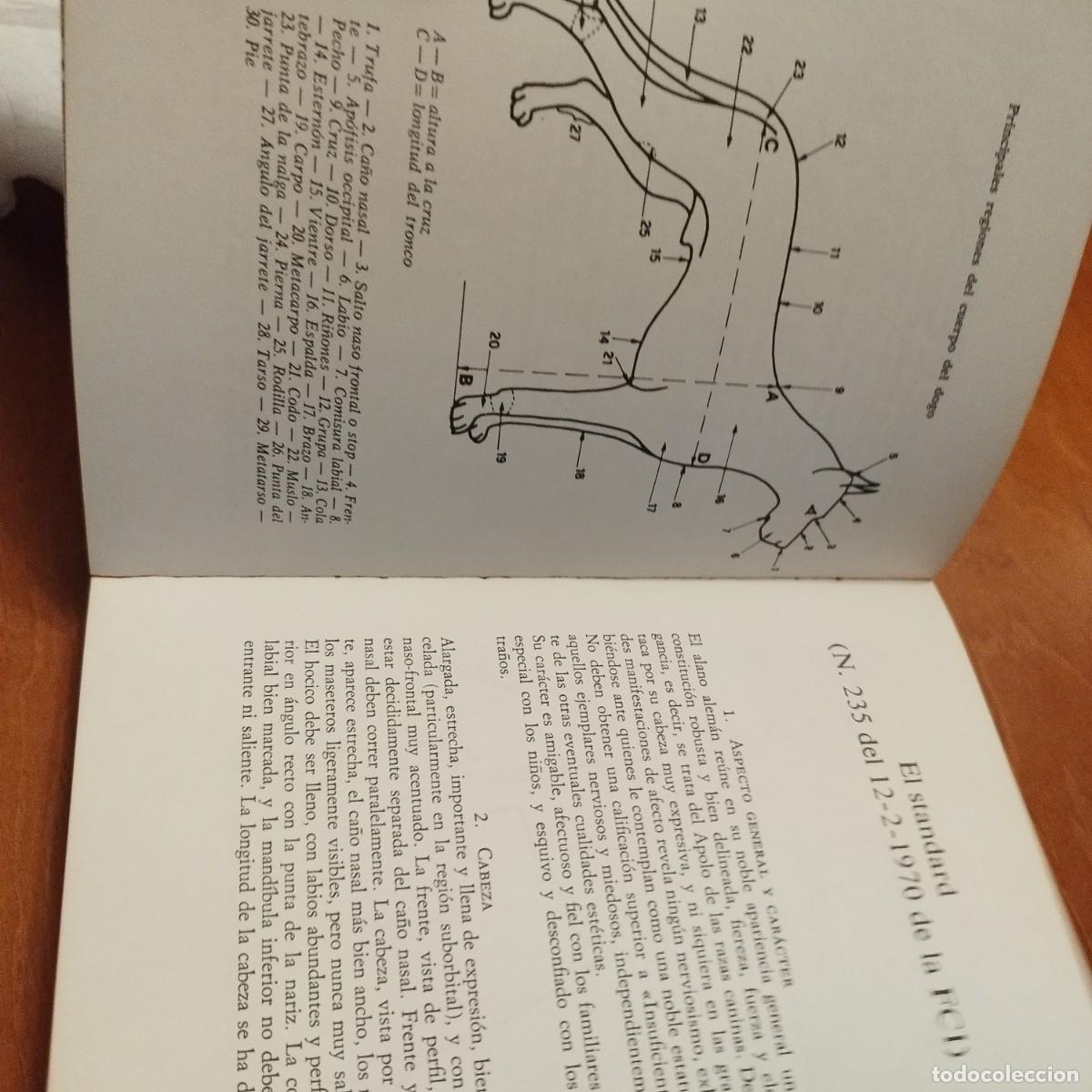 Libros de segunda mano: EL DOGO ALEMAN / FIORENZO FIORONE / CONS433 / DE VECCHI - Foto 6