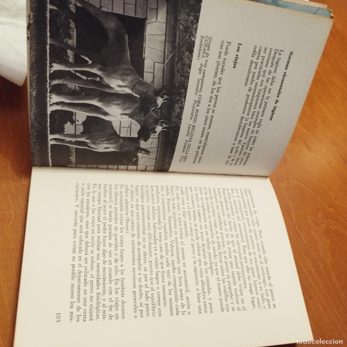 Libros de segunda mano: EL DOGO ALEMAN / FIORENZO FIORONE / CONS433 / DE VECCHI - Foto 7