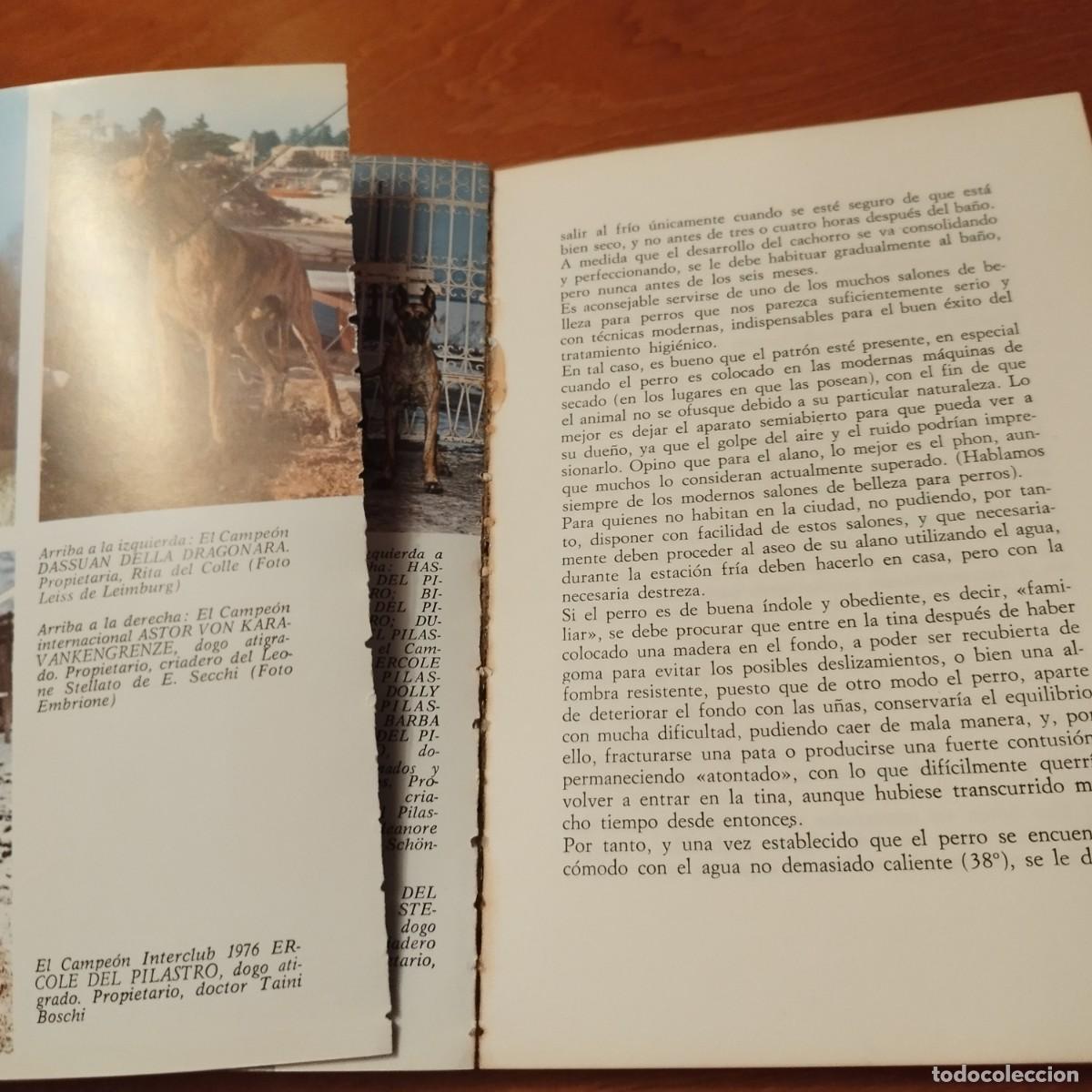 Libros de segunda mano: EL DOGO ALEMAN / FIORENZO FIORONE / CONS433 / DE VECCHI - Foto 9