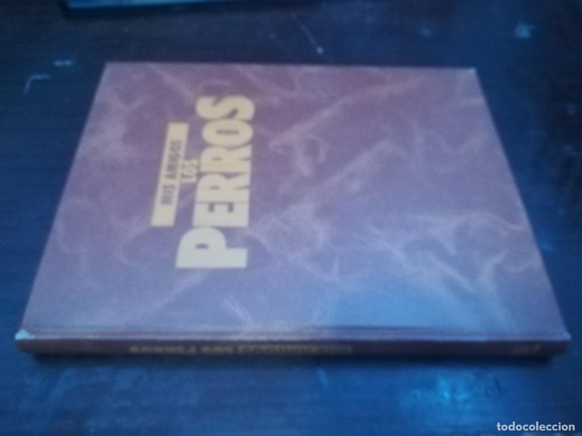 Libros de segunda mano: MIS AMIGOS LOS PERROS VOLUMEN 3 / CONS254 / PLANETA - Foto 1