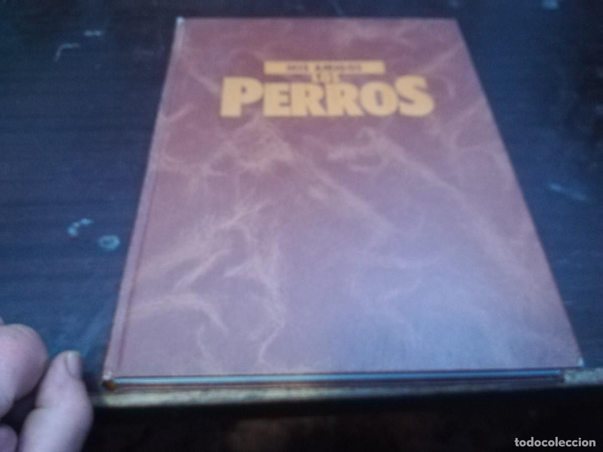 Libros de segunda mano: MIS AMIGOS LOS PERROS VOLUMEN 3 / CONS254 / PLANETA - Foto 3