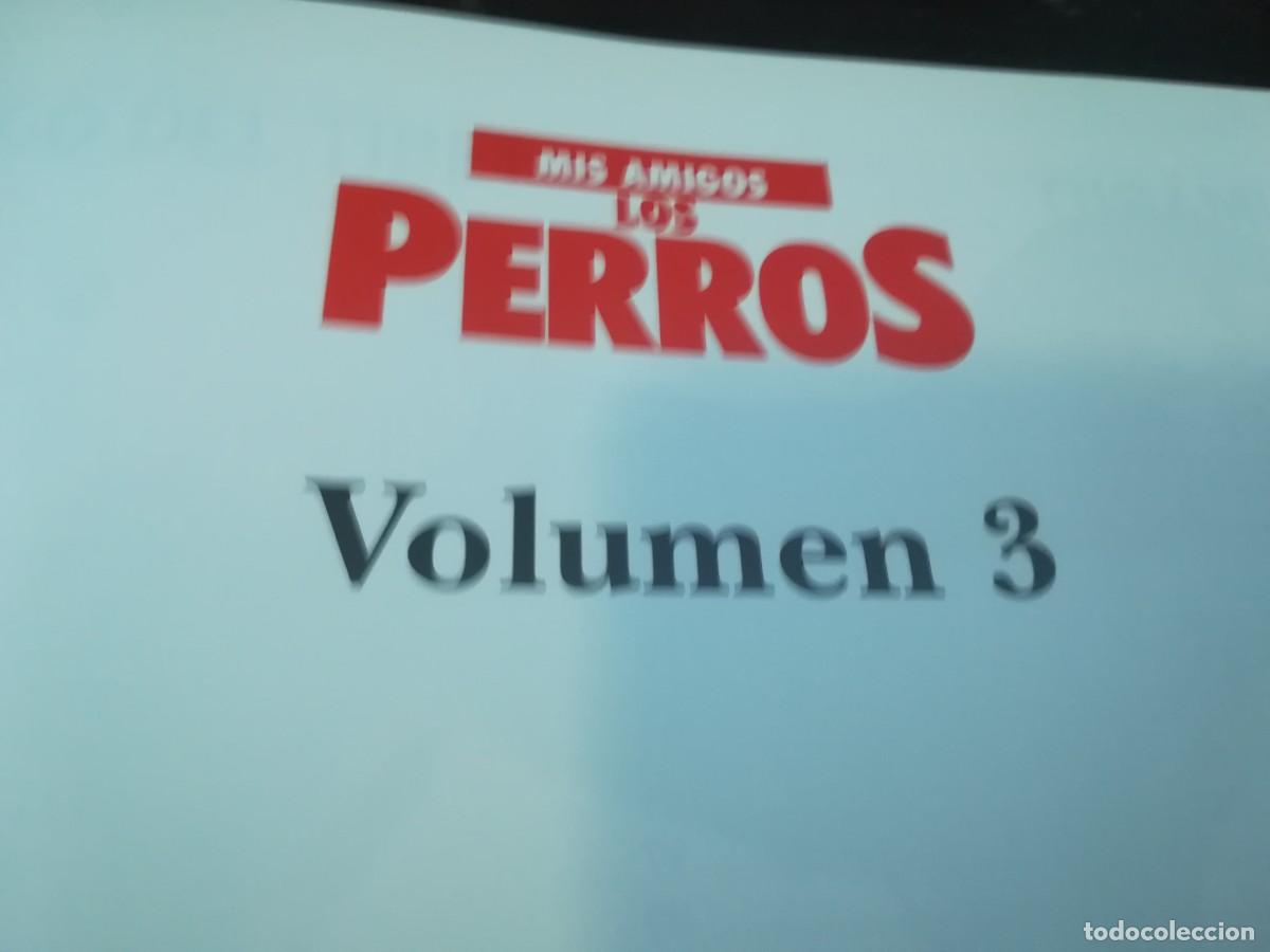 Libros de segunda mano: MIS AMIGOS LOS PERROS VOLUMEN 3 / CONS254 / PLANETA - Foto 4