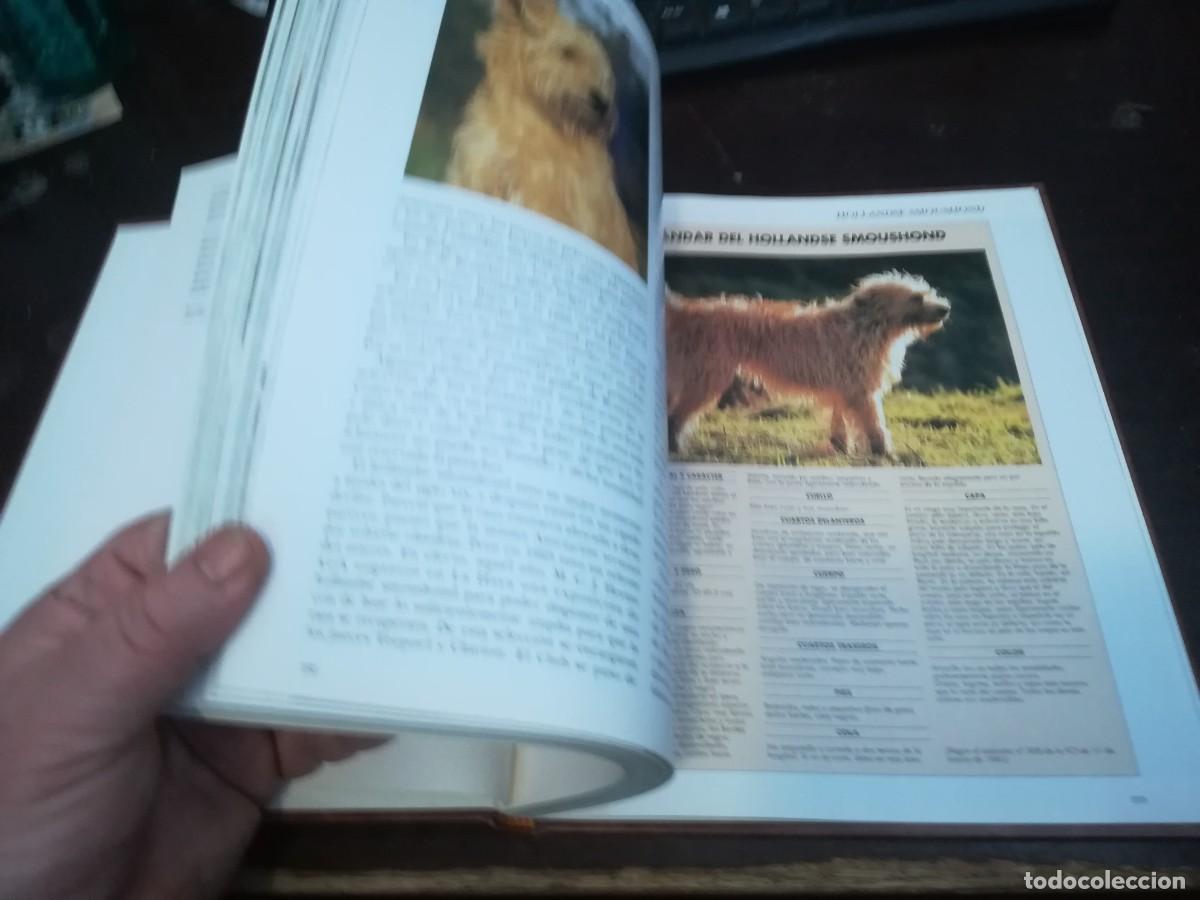 Libros de segunda mano: MIS AMIGOS LOS PERROS VOLUMEN 3 / CONS254 / PLANETA - Foto 9